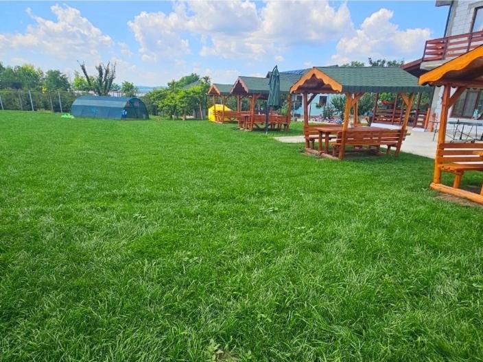 Colt De Rai Bed & Breakfast Hîrtoape Екстериор снимка